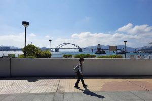 舒緩面膜──讓肌膚重拾寧靜的秘密