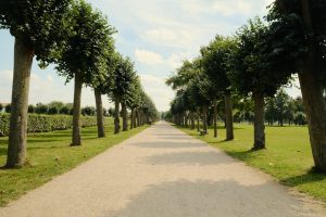 導賞團：走進香港文化的生動體驗