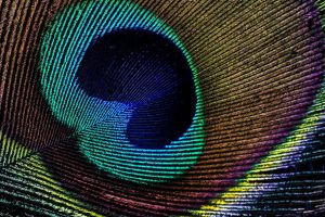 去眼袋技術的演變與文化意涵