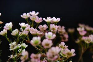 脫毛：從結果回溯全方位分析