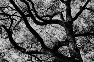 腦神經科：專業知識分享與最新發展